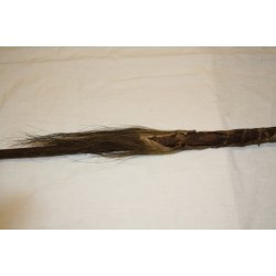 AFRIKA : Congo 1 Fischenspeer