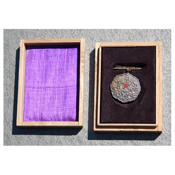 3. klasse Aikoki Fujinaki Association medalje