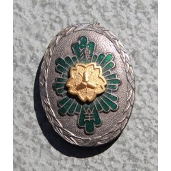 Japan: Chief firefighter medal