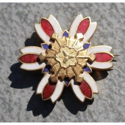 Japan: Medal for firefighter