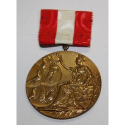 Unknown danish medal