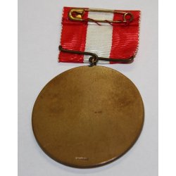 Unknown danish medal