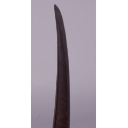 Russland: Sbel f. Artillerie